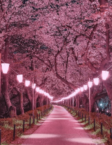 art-ypretty