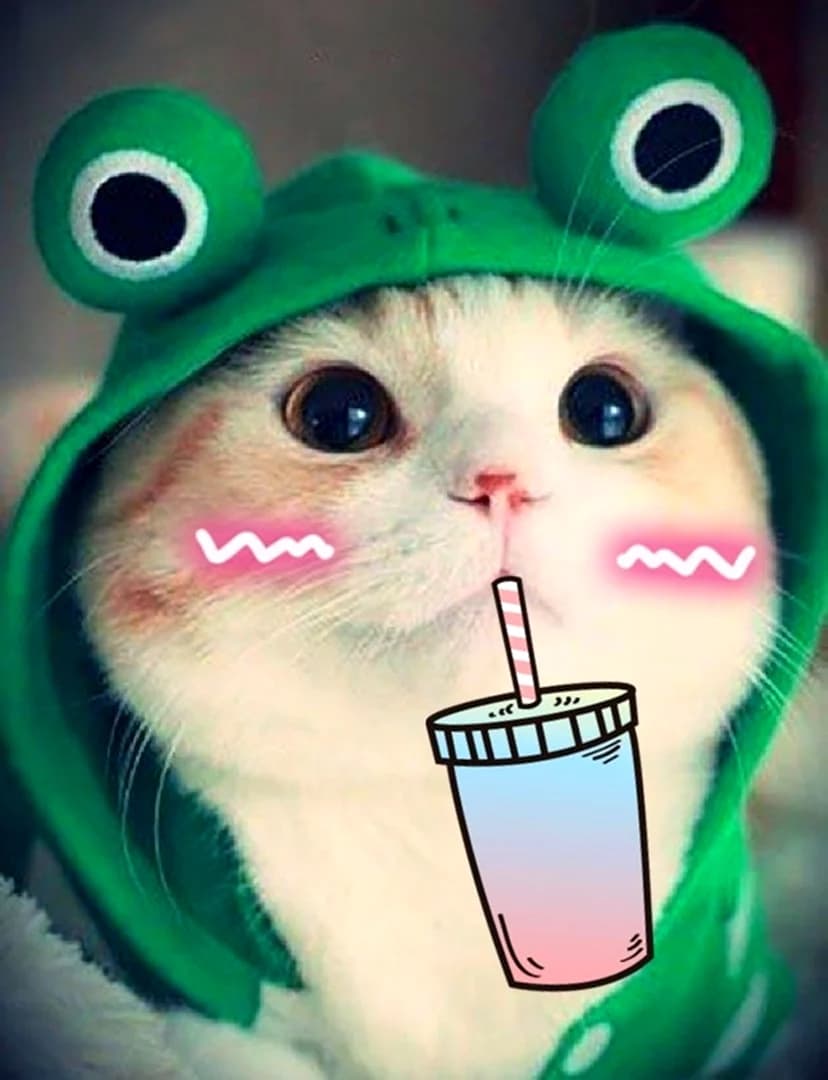 art-Froggg
