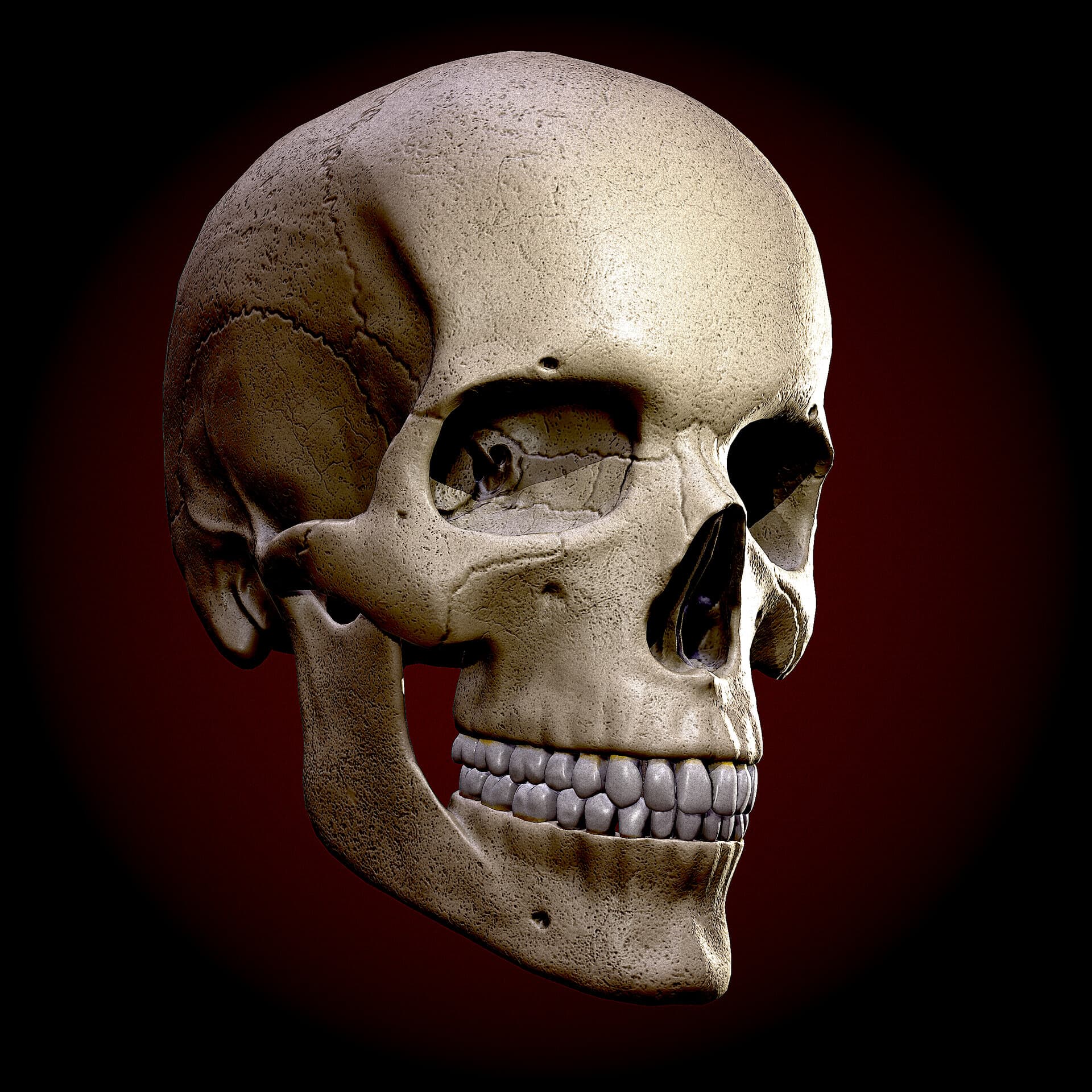 art-Skull