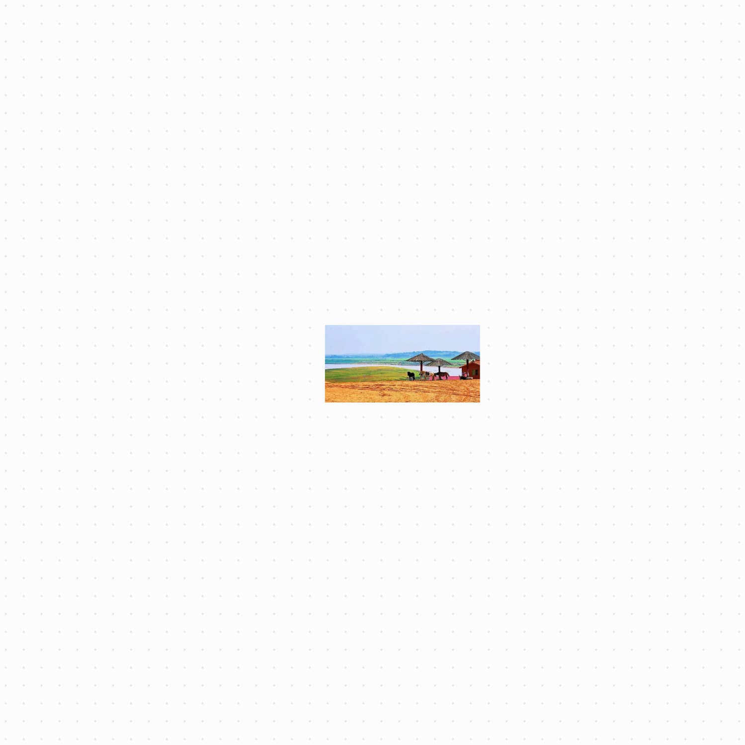 Untitled54546