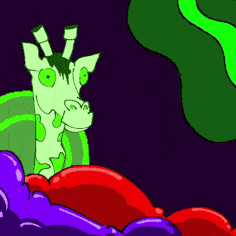 art-Raff go higher