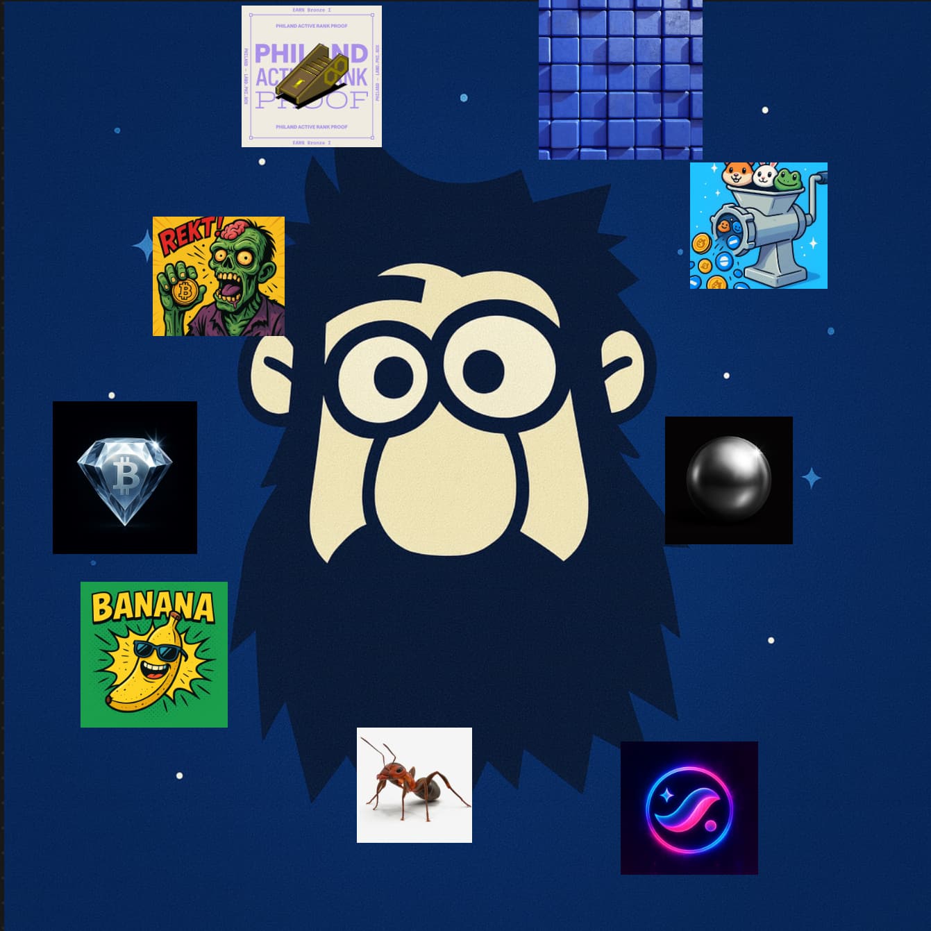 Bororo